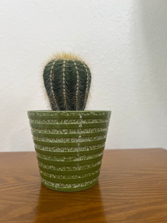 Green Ceramic 4" Pot